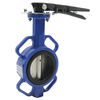 Butterfly Cast Iron Drain Valve