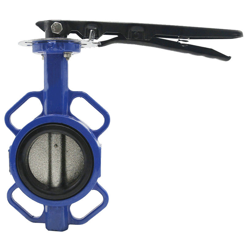 Ductile Iron DN6 Threaded Hydraulic Butterfly Valve